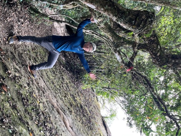 20251108_石壁山（雲林小百岳）2941458