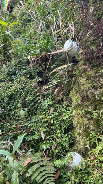 大同九分山/九份山3027611