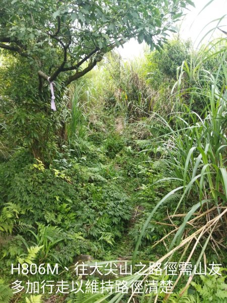 瑞泉古道上大尖山、下富士坪第三草原1760122