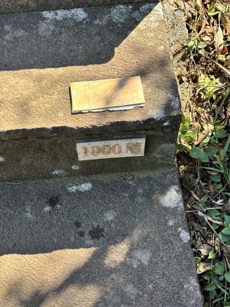 龜山島 401 高地登島2899111