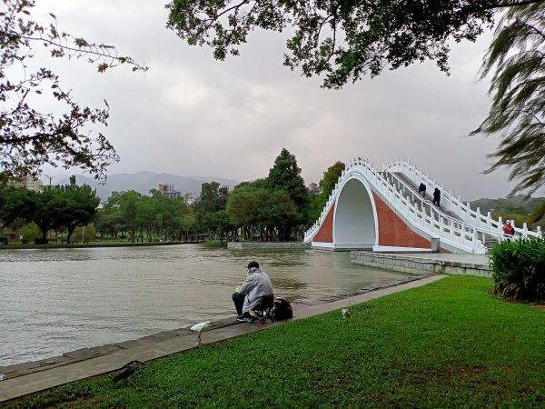 大湖公園 (防災公園)【走路趣尋寶，全臺齊步走】