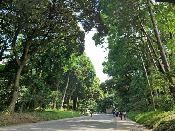 日本最高峰富士山登頂記369818