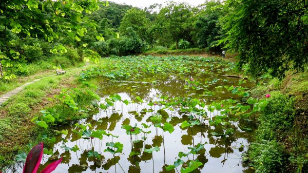 五堵獅頭山2810534