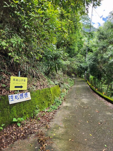 20230819 谷關七雄初登板-二哥馬崙山，白冷冰棒2255597