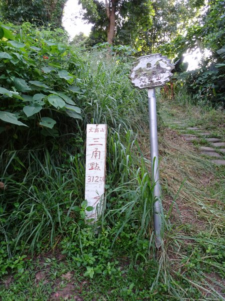 高雄桃源、阿蓮-藤枝山、大崗山1054513