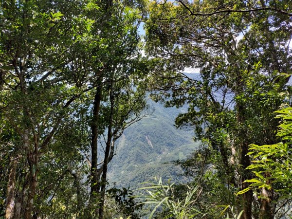 春谷養鱒場-小東河山北峰-小東河山-大龍山-南大龜山-光天高山-春谷養鱒場 O型 2021.6.301422777