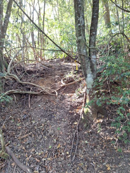 雪見駐在所+雪見山202512252971677