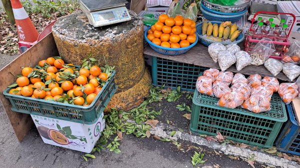 台北大縱走第一段1249235