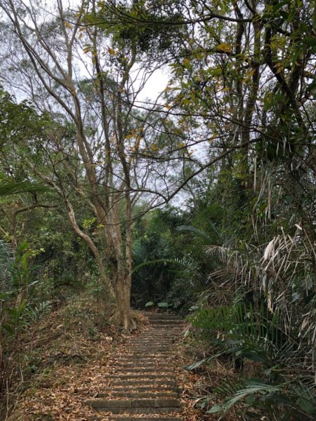 烏山步道北段入口雲山寺走刣牛湖山往返507926