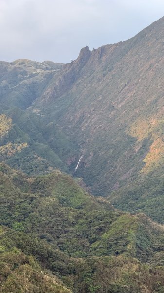 新北 瑞芳 黃金八稜七稜O型2956142