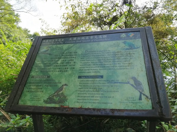 台南白河~台南第一高峰。 關仔嶺大凍山917823