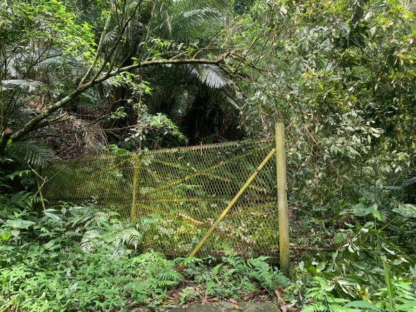 大崎棟古道、騎龍古道2772350