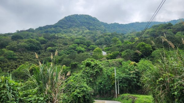【中級山縱走】水雲三星，橫龍山，騰龍山，橫龍古道2742967
