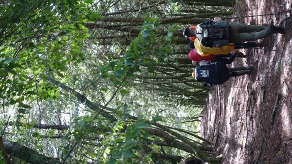 雙龍林道上巒安堂西巒大山1778596