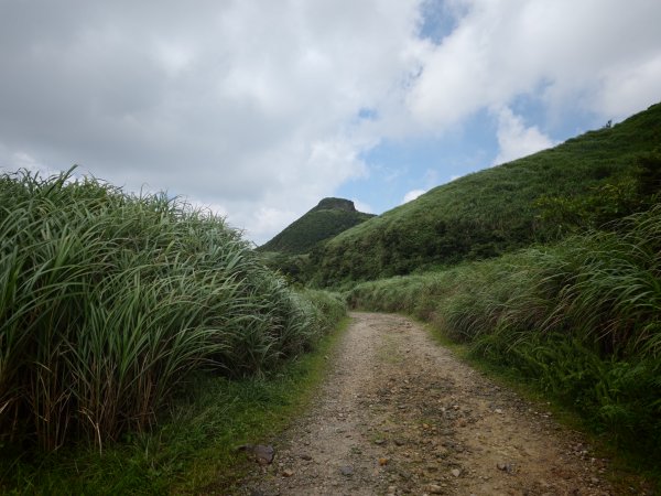 [淡蘭古道] 2026_0531 北路第一段_燦光寮古道(中)-陡坡3070875