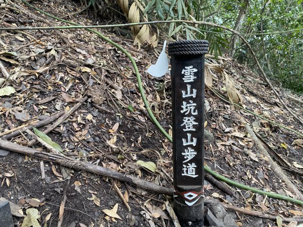 《雪山坑登山步道｜巨人之手森林秘境 Xueshankeng Hiking Trail & Giant2971065