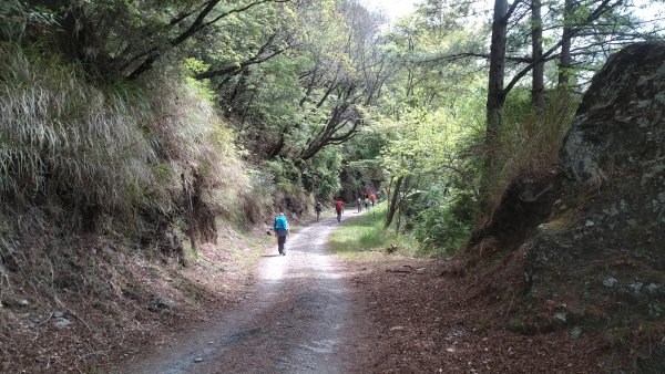 2021.4.9-10大霸群峰之大霸尖山1349332
