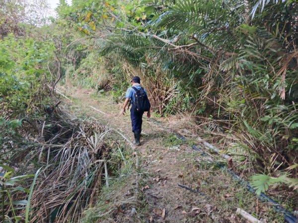 貢寮區龍洞坑古道+苦苓嶺+南雅山+海園古道O型2954599