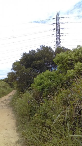 《桃園虎頭山迷航記》1028603