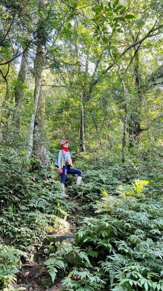 20260104源茂山.源茂山西峰.和尚髻山O走+親水觀魚步道2977786