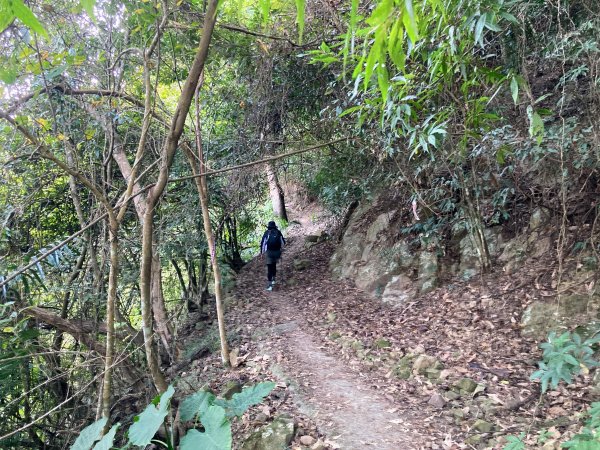 九份二山登山步道2688043