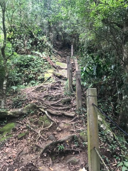 起九芎神木嘉南雲峰.石壁山.好望角432407