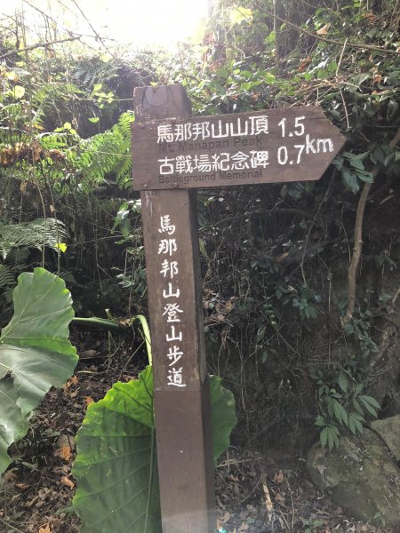 馬那邦山登山步道 NO 37 / 苗栗縣大湖鄉--我的第13座小百岳1598269