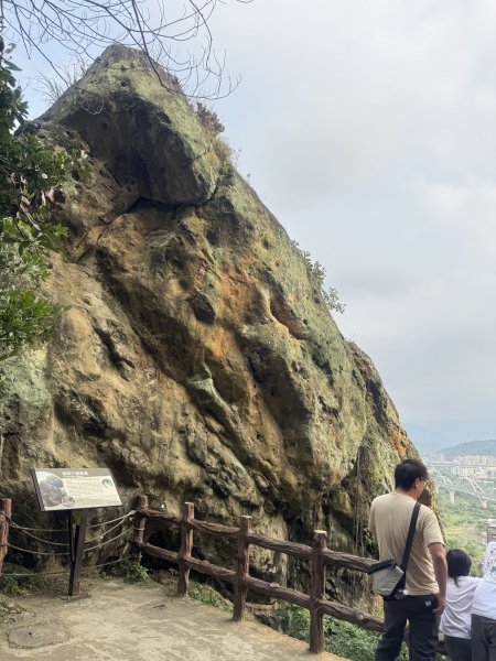 鶯歌石步道小O型路線3036048