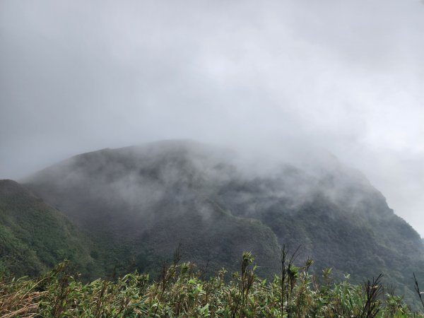 小百岳No.82⛰灣坑頭山3003076