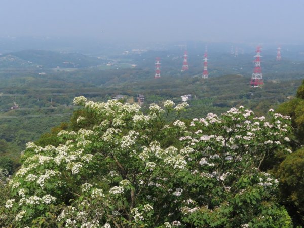 九華山天空步道964045