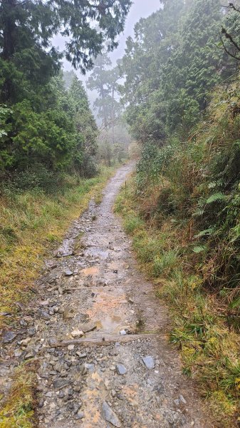 2025-0222 翠峰湖環山步道2718630