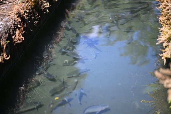 2025_0628 溪瀧步道2824972