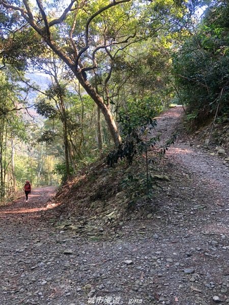 【高雄。茂林】清悠原始山徑。 小百岳集起來。 編號71小百岳-鳴海山 (扇平園區)1653734