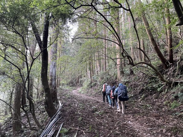 干卓萬橫斷 2024 11/29 四天三夜2865559