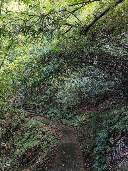 2023.12.14 紅淡山2826457