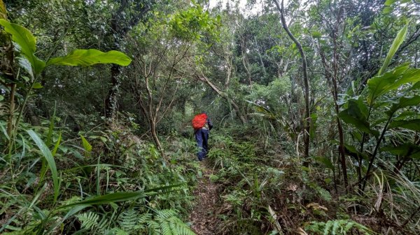 114.06.21大竹坑山-小粗坑山-石門山之旅2818860