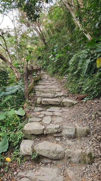 屏東山旅 – 雙流國家森林遊樂區（瀑布步道-沿山步道）2679944