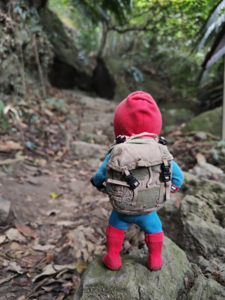 2023.12.23 崁頭山2833299