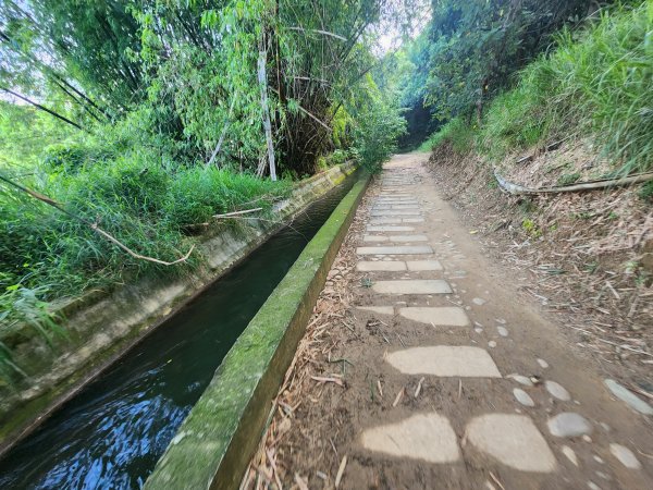 20250921學田山王田山大肚山大尖山竹坑山2928457