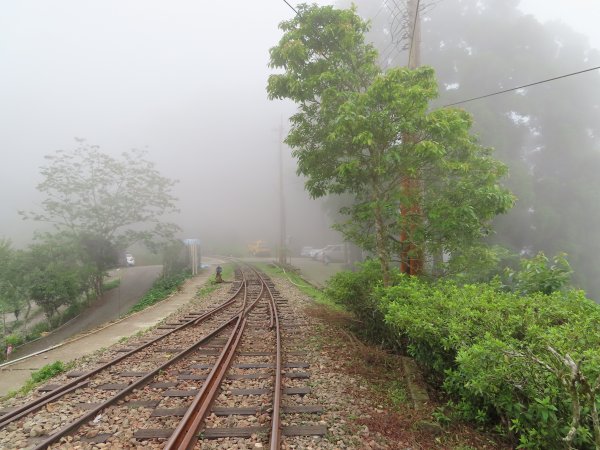 寧靜的小山村:水社寮973321