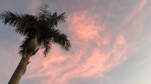 觀音山連峰3000291