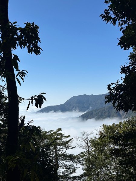 1140209雪見北坑山大板根2709942