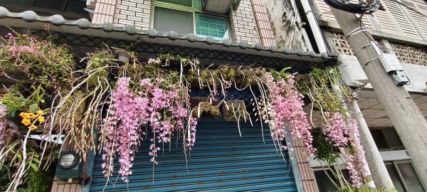 2025/04/25_苗栗鐘樓古道2771167