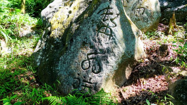 陽明山16草原之西線8草原2904063