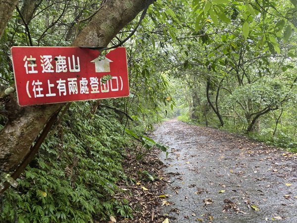 《探訪熊空秘境｜新北三峽雲森瀑布沁涼體驗》2878492