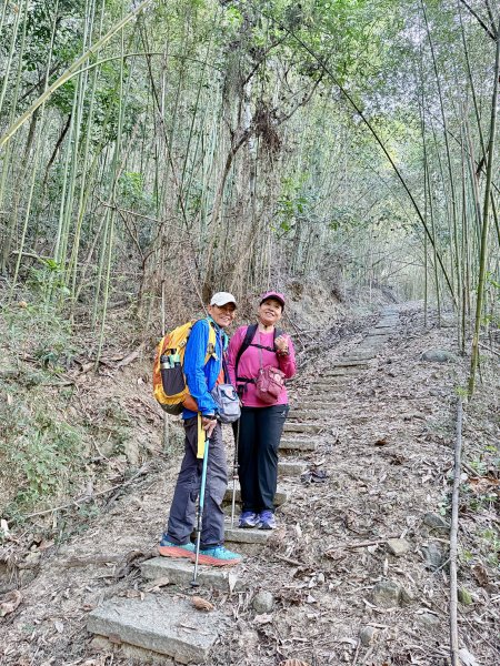 再訪八通關社寮古道登陳東坑山    2025.11.252946097