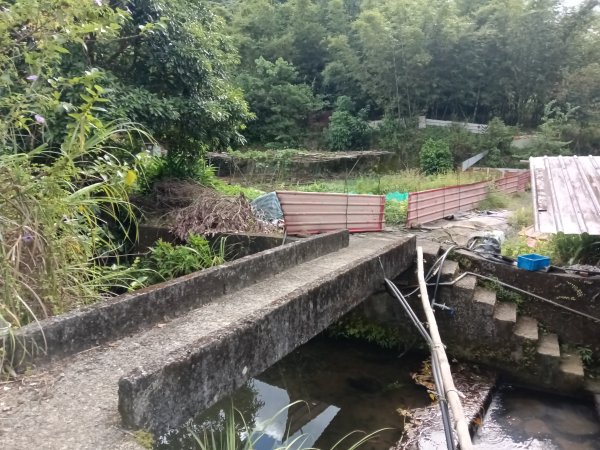 雙溪區雙澳崙+土地公嶺保甲路+青雲古道+遠景古道O型2910421