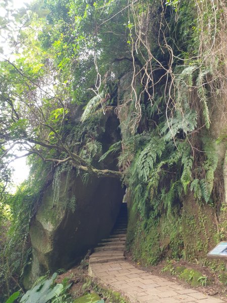 象山 獅山1589319