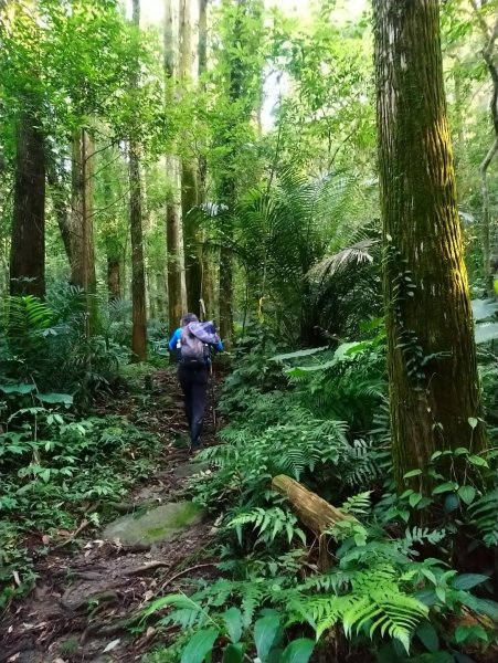 馬武督山，蓮包山，鴛鴦谷瀑布連走671667