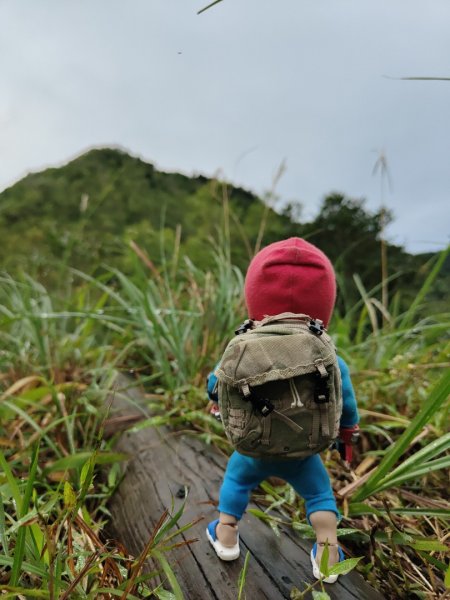 2023.12.14 鵲子山2804621